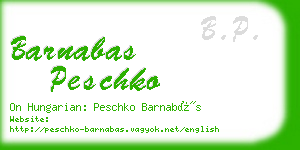 barnabas peschko business card